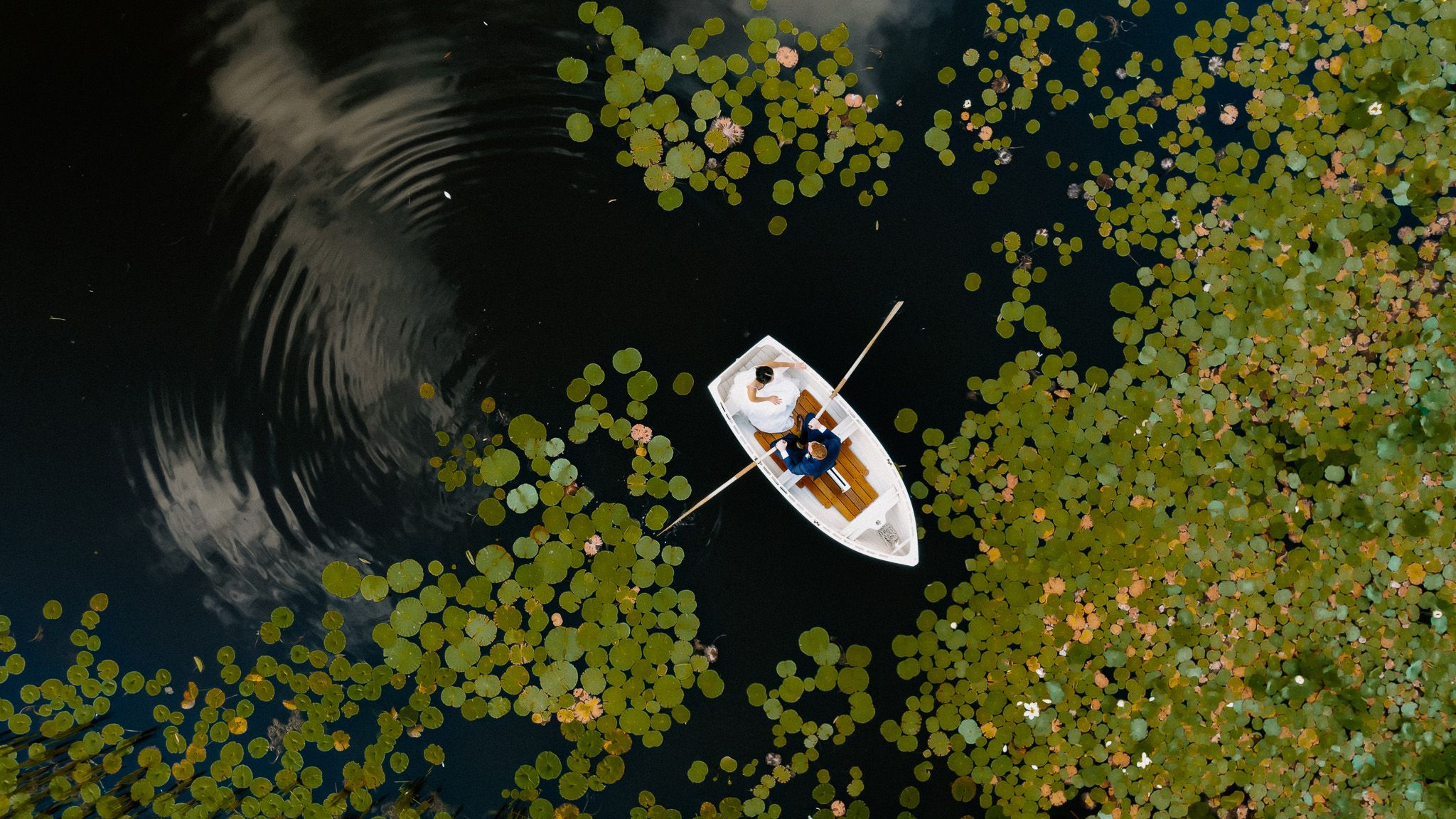 Daniel Neucom Photography