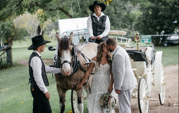 Gloucester Wedding Carriages