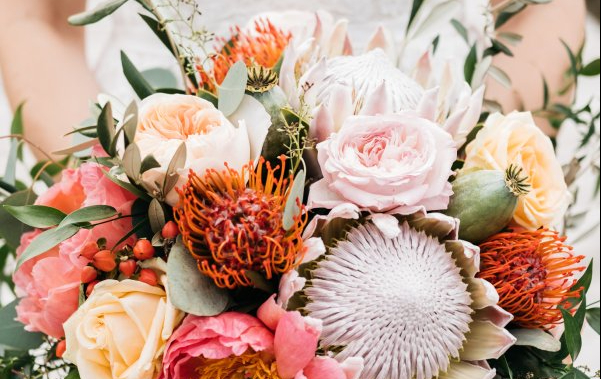 Protea King Australia