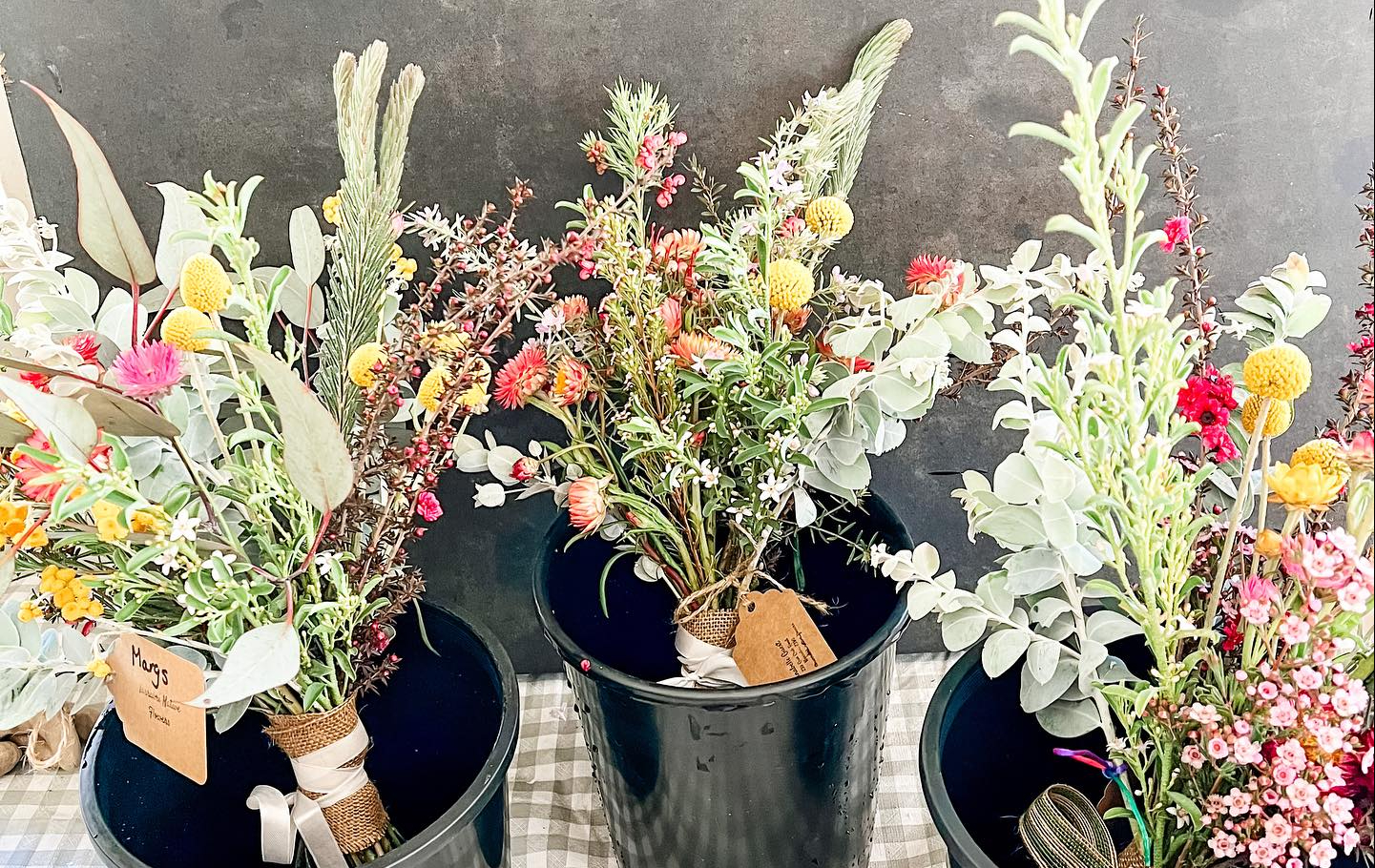 Narrabri Native Flowers