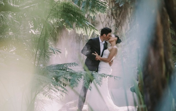 The Infinity Collective