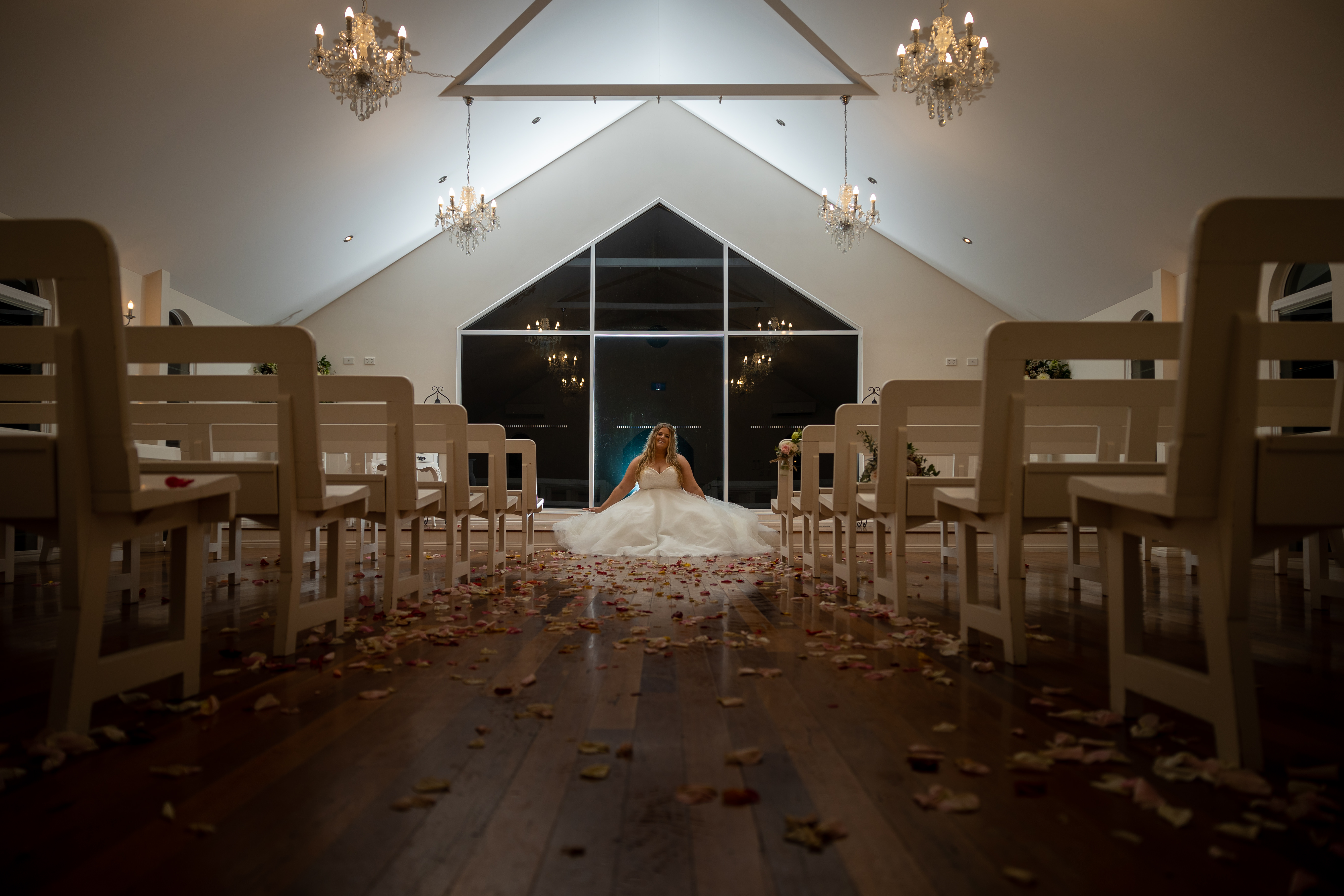 Scott Adams Photography / Videography