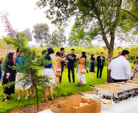 Silva Service Catering