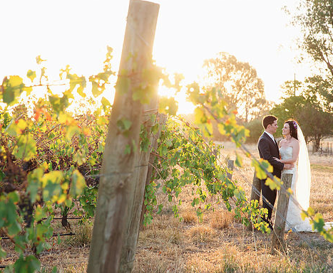 The Pickled Sisters at Cofield Wines
