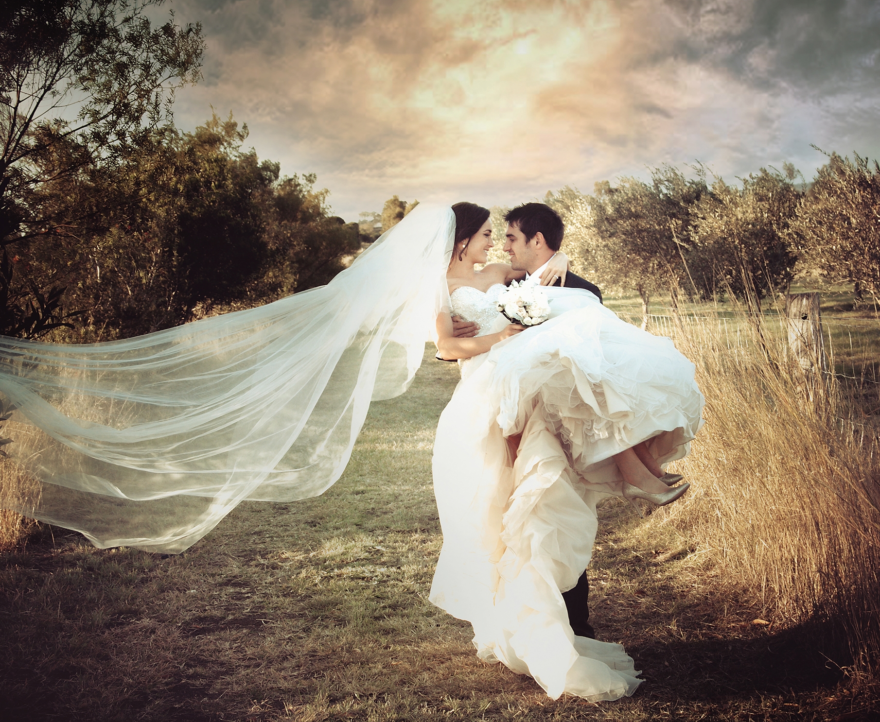 Vivid Art Photography