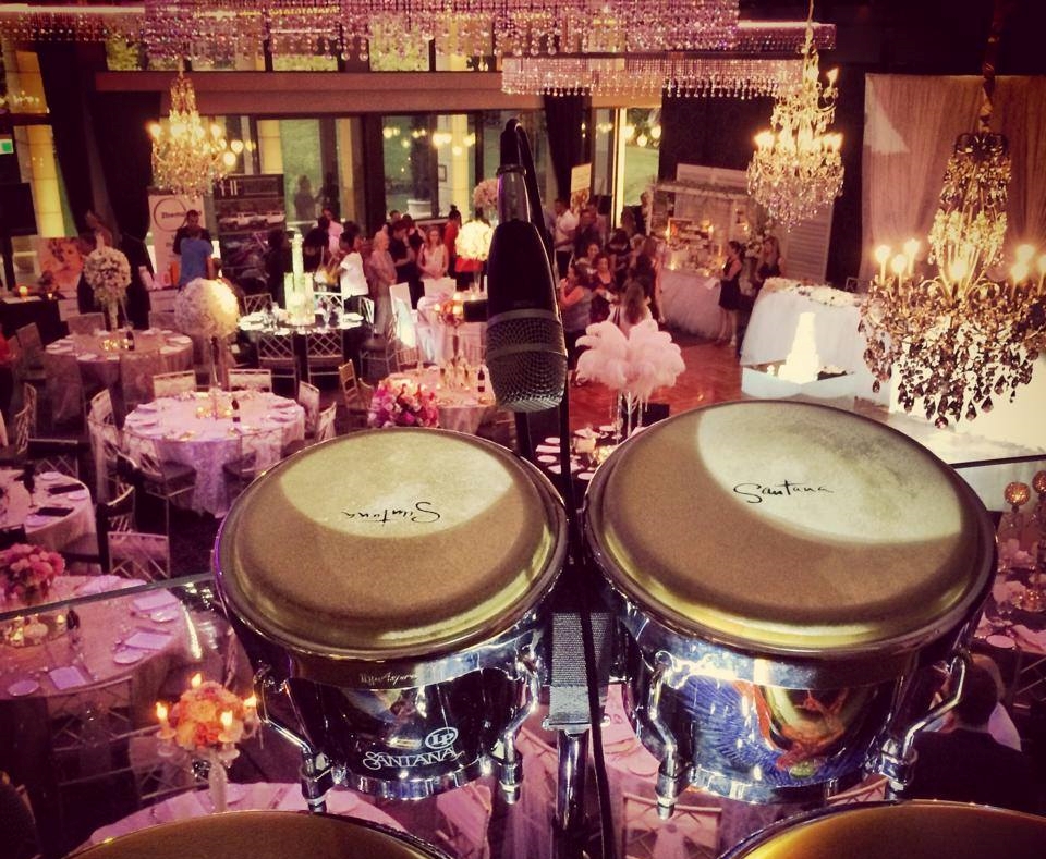 Mark on Drums -Bongo Player