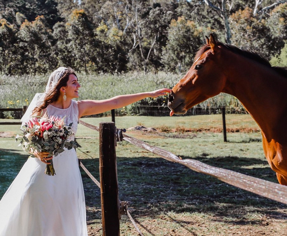 Michelle Kenney Photography