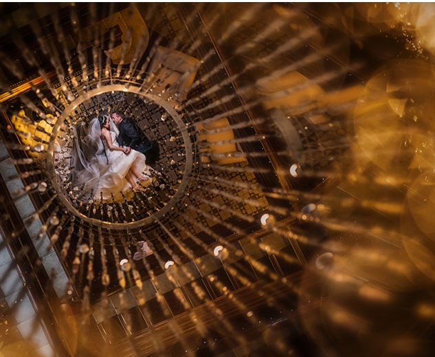 Orange Lemur Photography