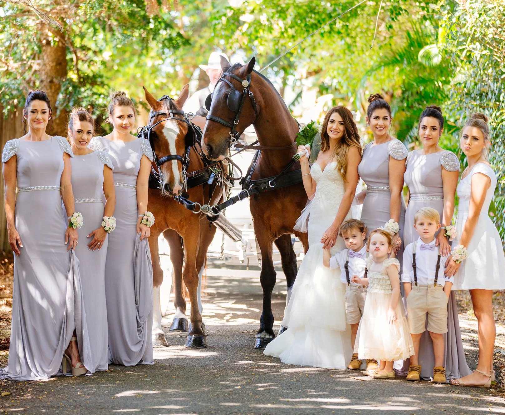 Northern Rivers Carriage Occasions