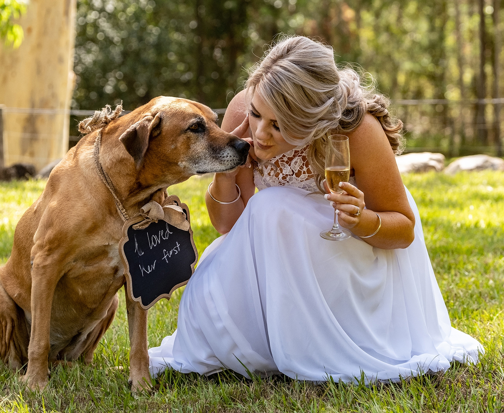 Studio SW19 Photos & Film