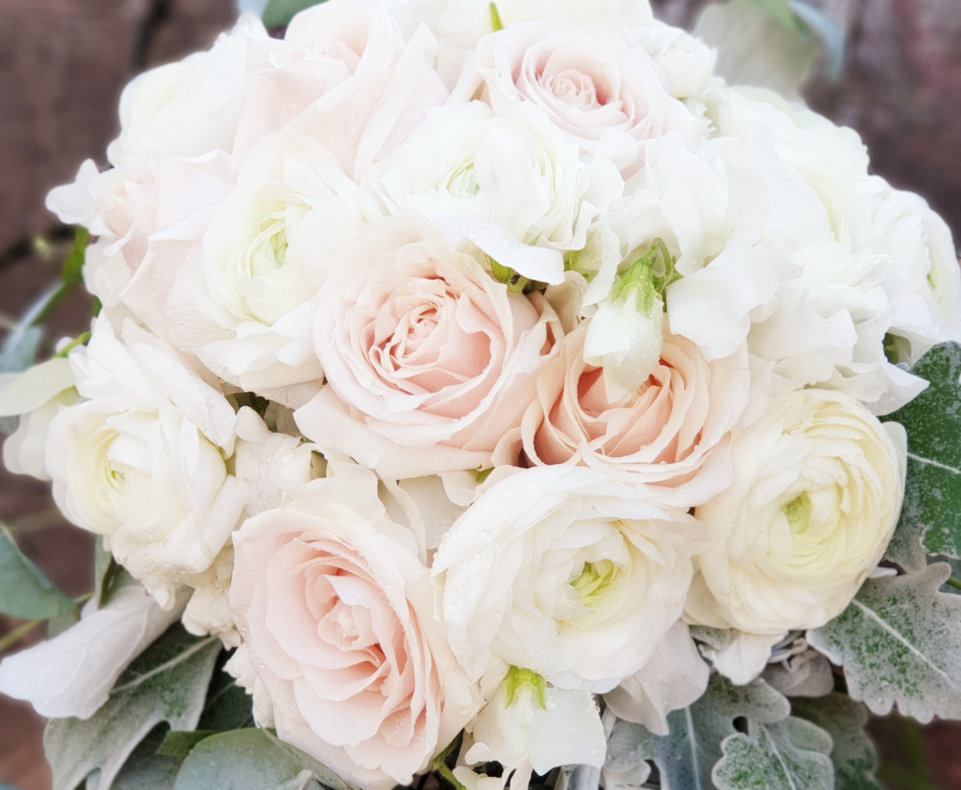 Flower by Camellia