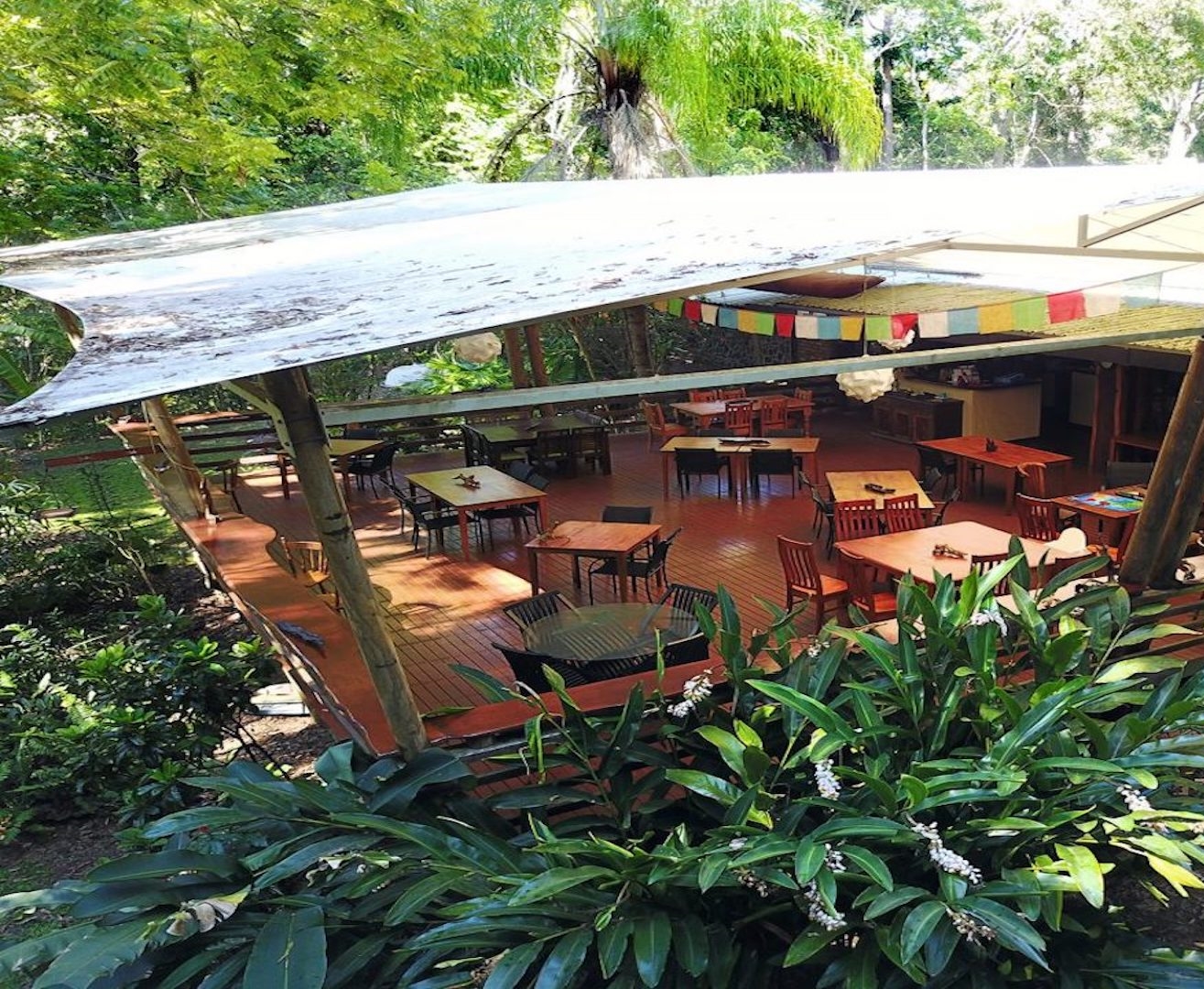 Cedar Park Rainforest Resort