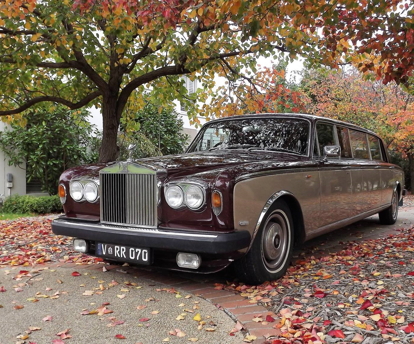 CJ's Limousine Services