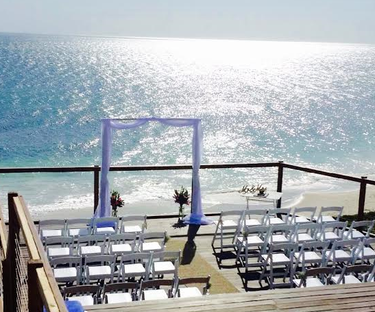 Timeless Blooms and Decor