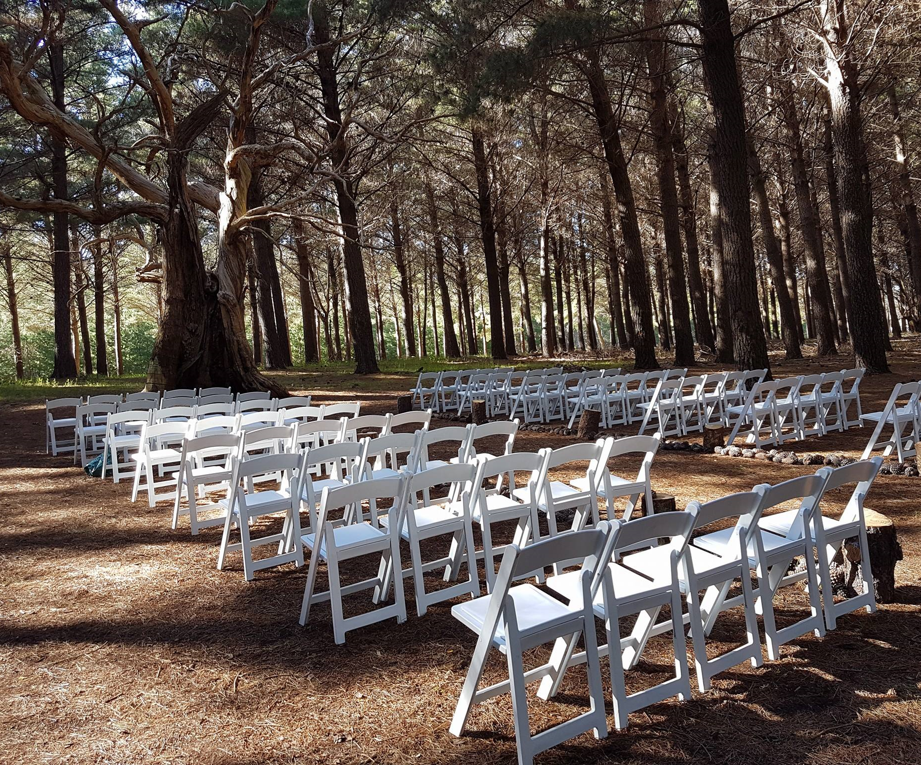 Distinguished Events