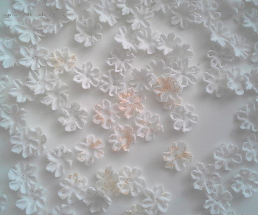 Expressions of Interest Cake Toppers and Accessories