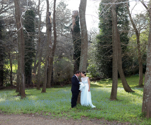 Jenny Hartwig Photography