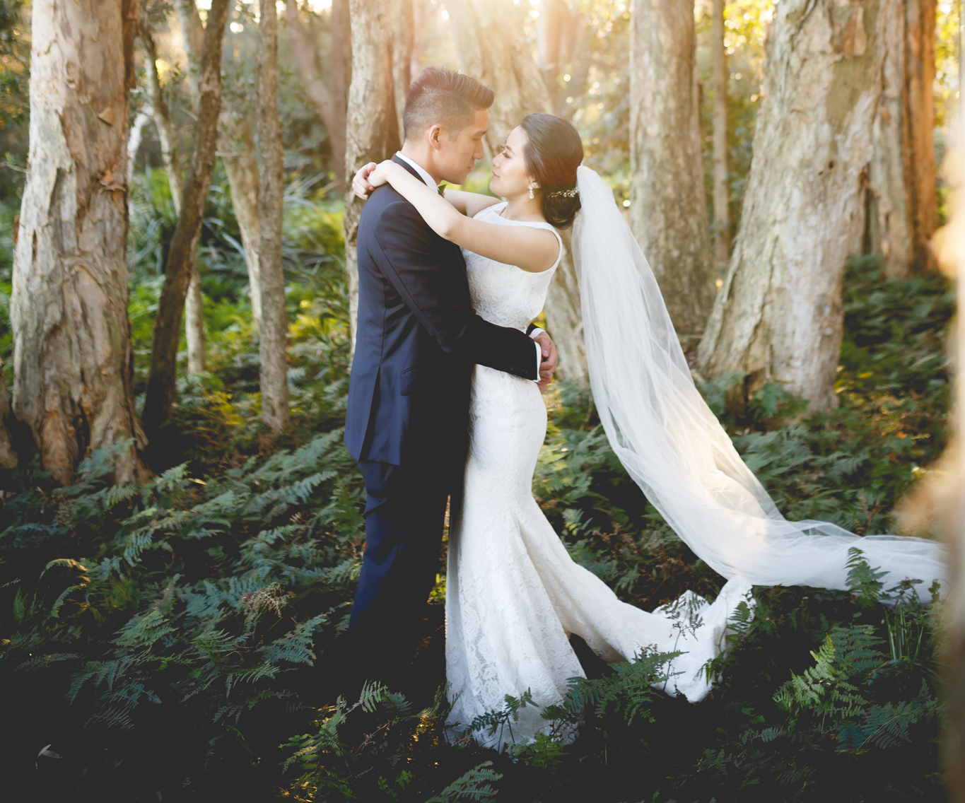 Maikeru Nirvana Video & Photography