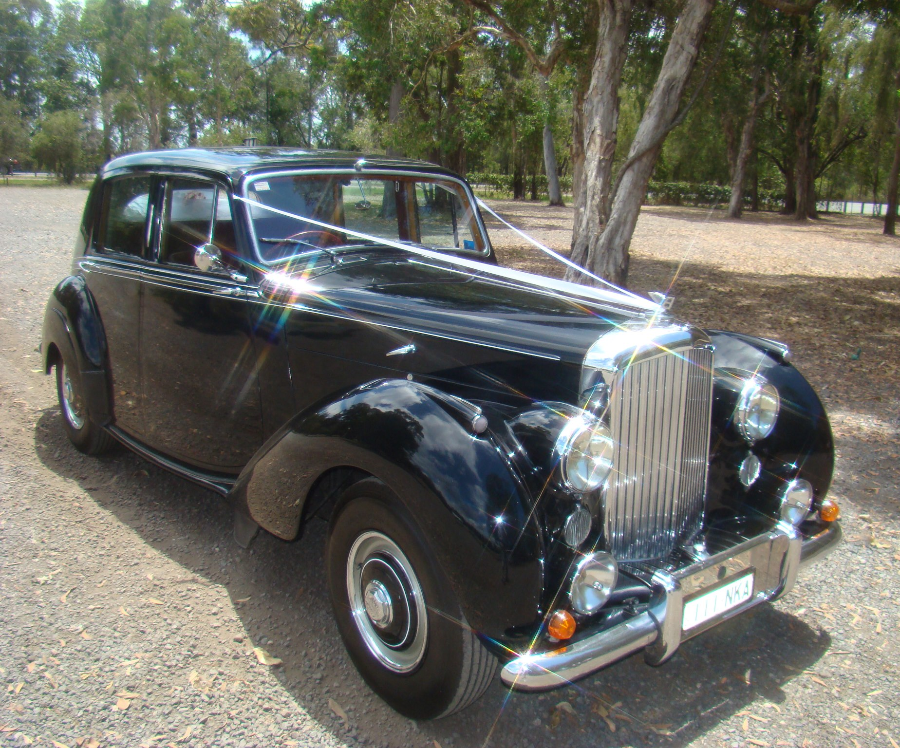 Noosa Hinterland Tours