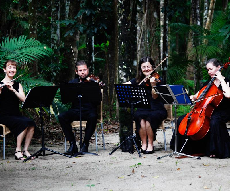 Orchid Quartet Wedding Music Redlynch Easy Weddings