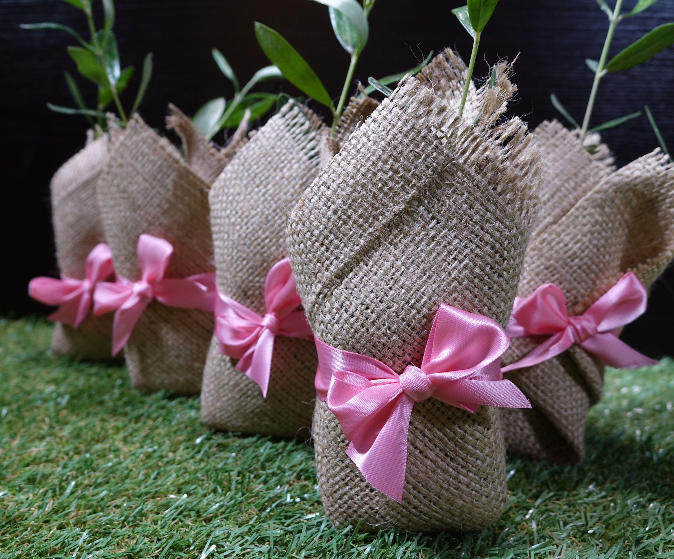 Plant a Seed Bomboniere