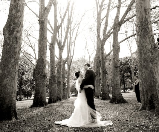 Red Vibe Photography