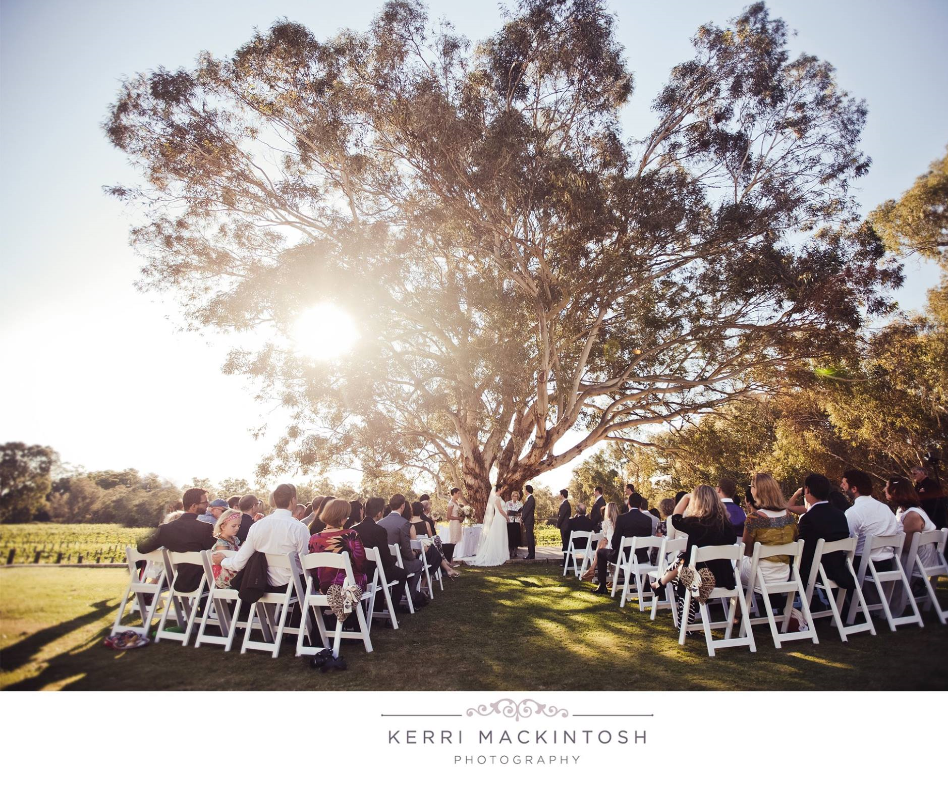 Broads @ Upper Reach Winery