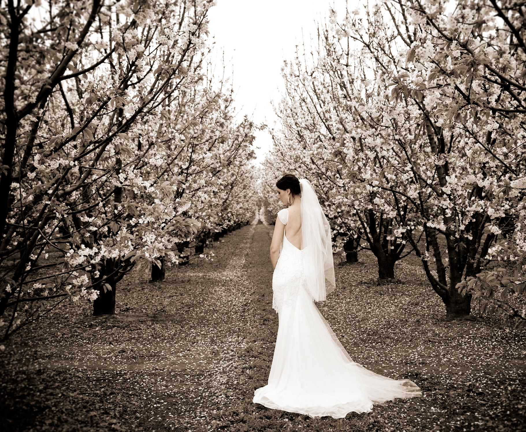 A Woman's Touch Photography