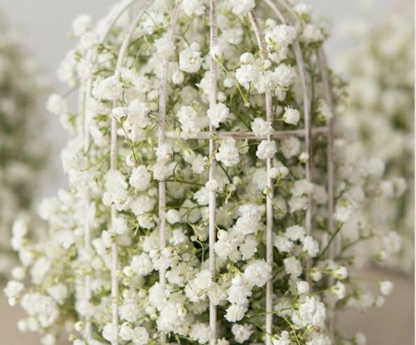 Wildflower Wedding and Event Decorators