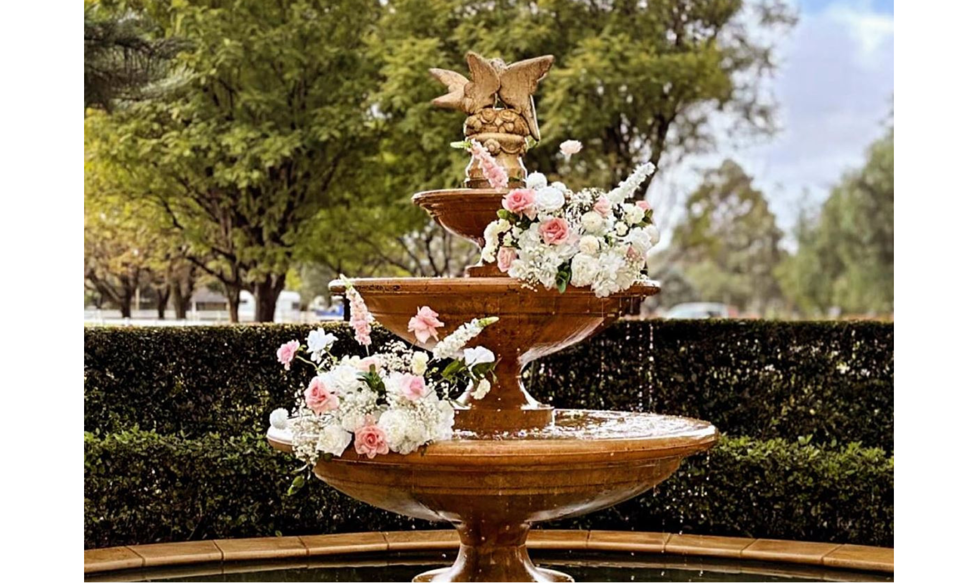 AM Weddings and Events