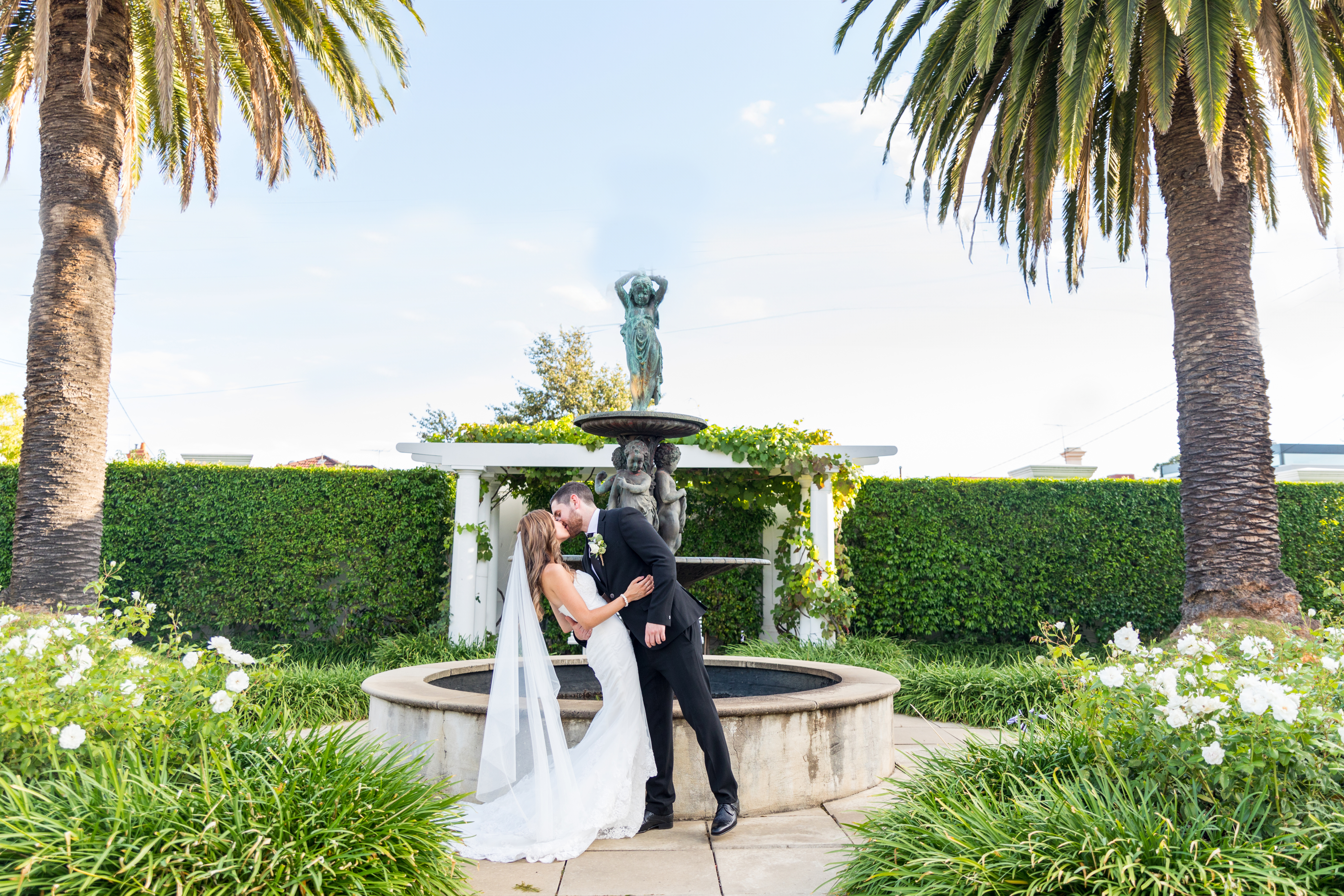 Amazing Days! Photography