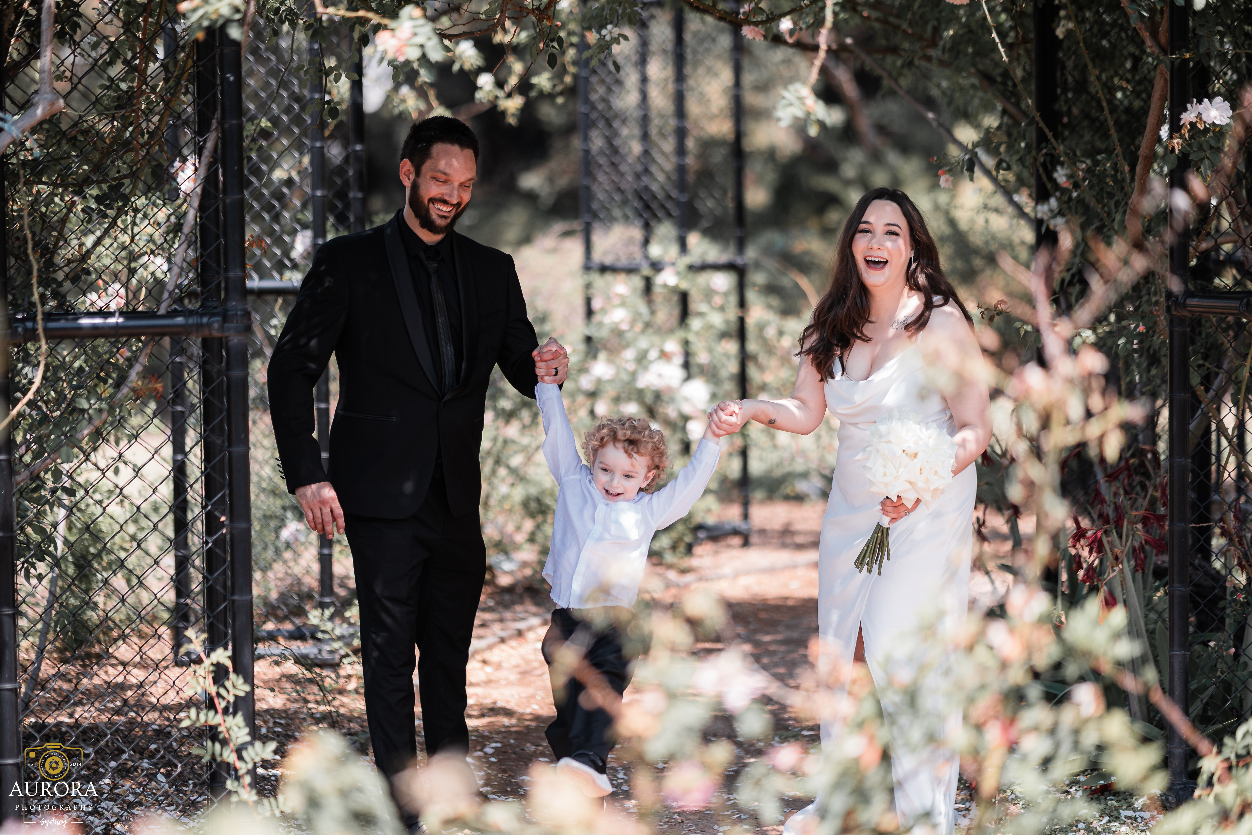 Aurora Photography Sydney