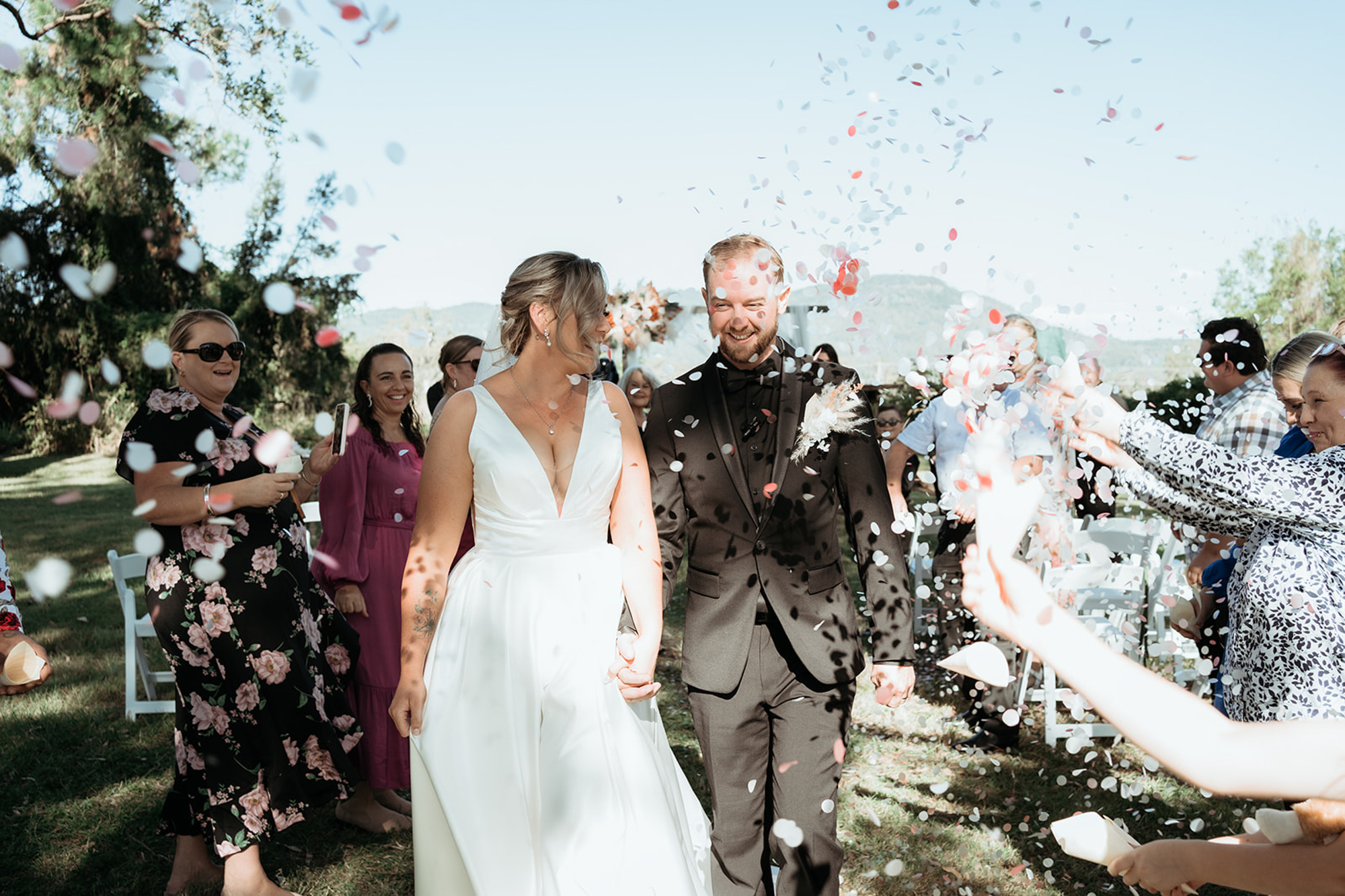 Bearded Dragon Hotel