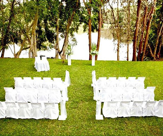 Dalee, Flowers, Events & Hire