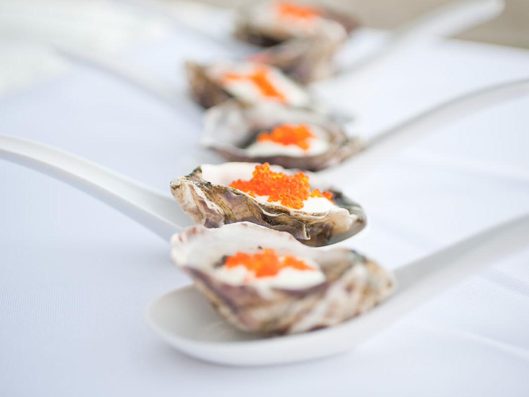 Absolute Oyster Shucking