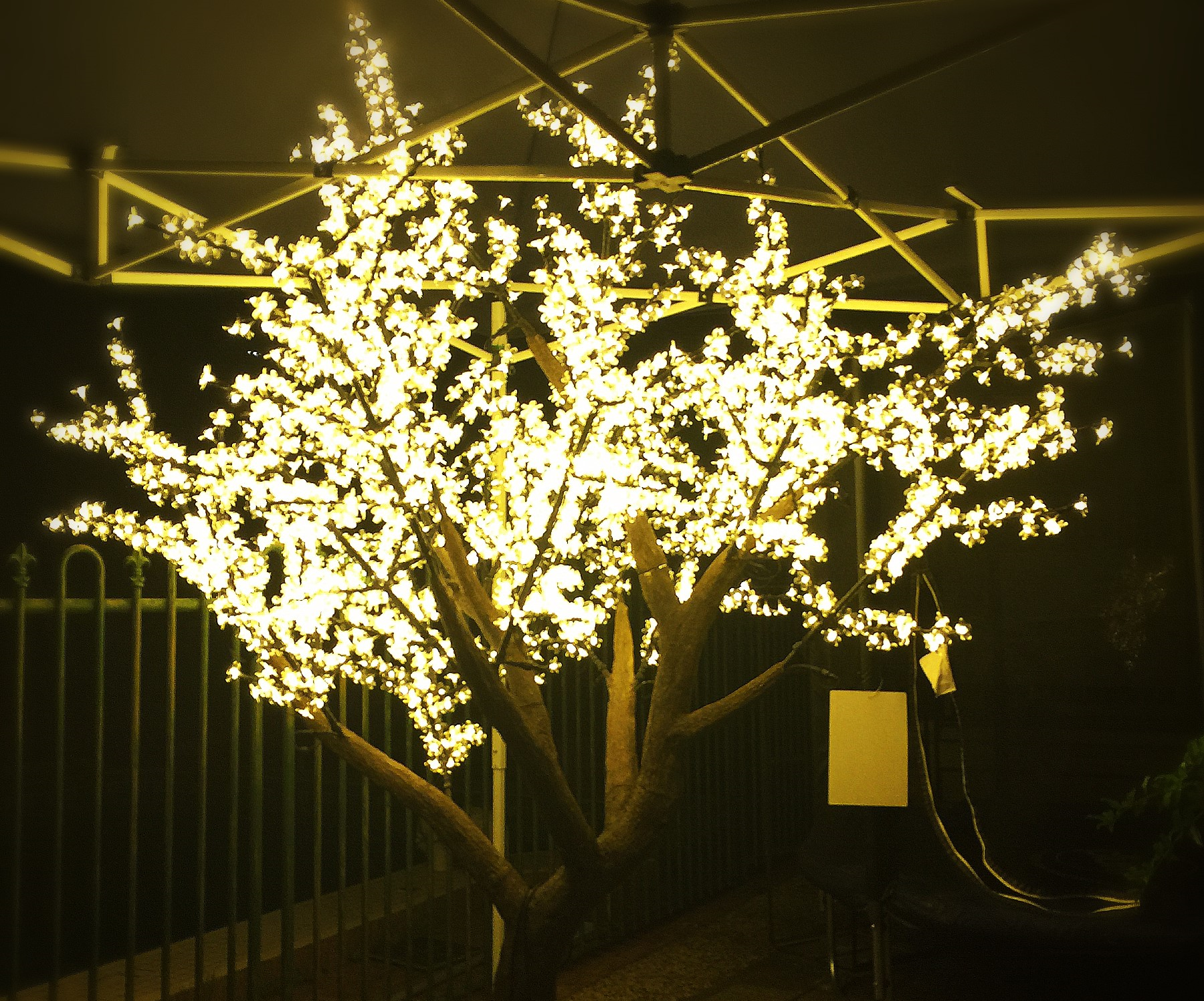 The Cherry Blossom Tree Company