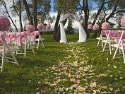 Just the Look - Elegant Weddings