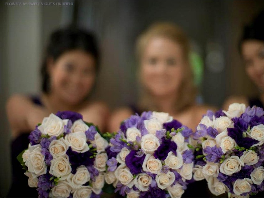 Sweet Violets Linfield