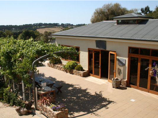 Morning Sun Vineyard