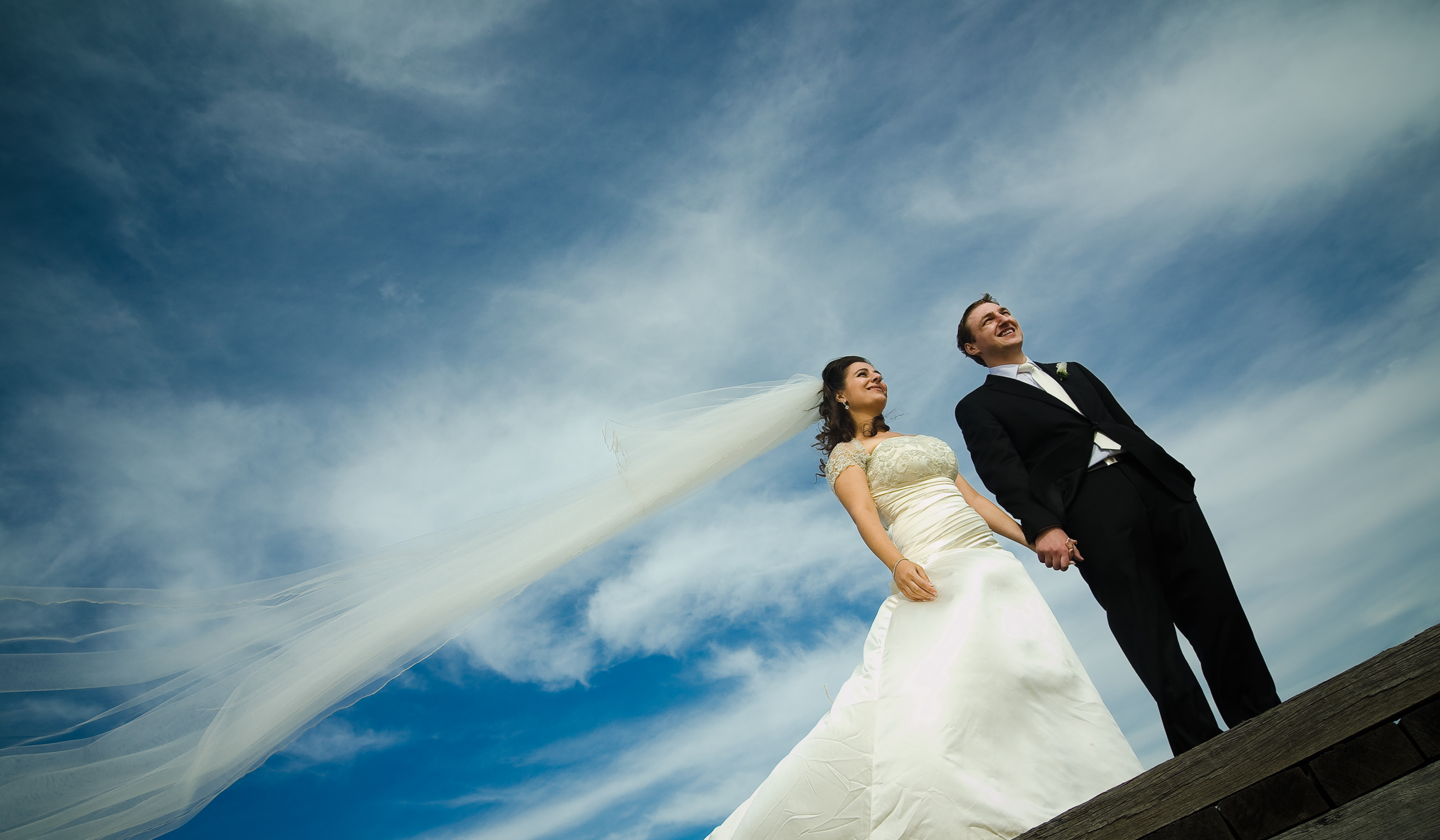 Pam Torresi Bridal Couture