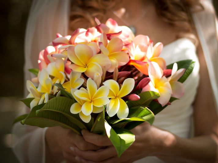 LySar Photography & Photobooth