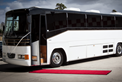 VIP BUS