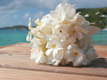 Cairns Wedding Planner