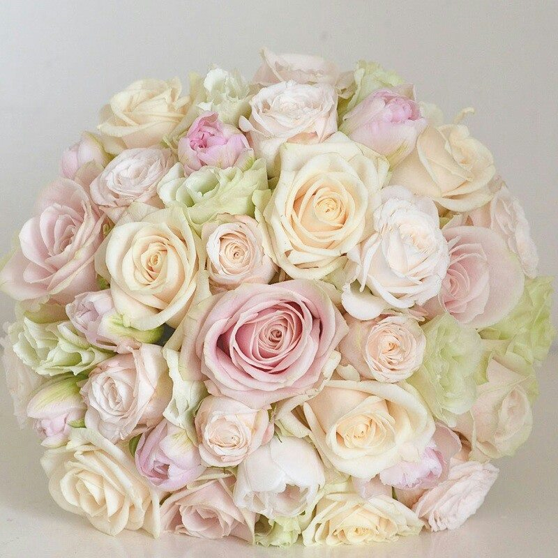 Stems & Petals
