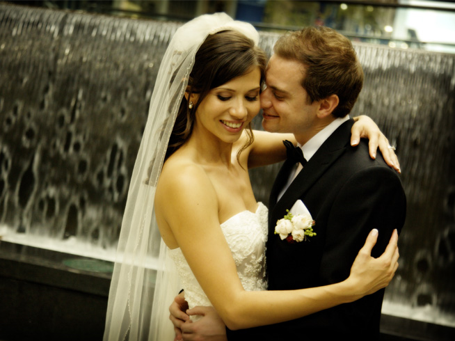 Bird and Bee Photography