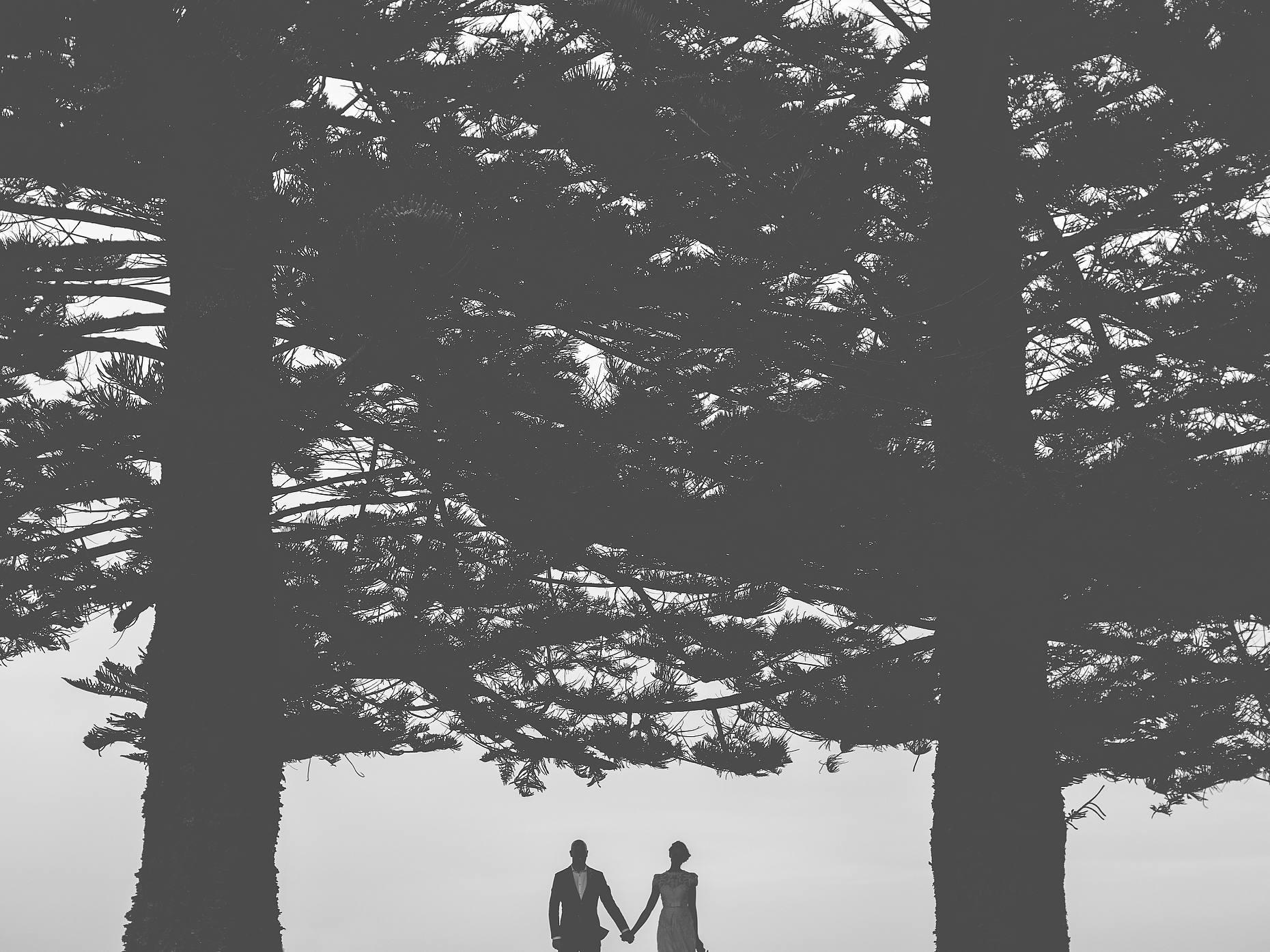 Bare Branch Wedding Photography