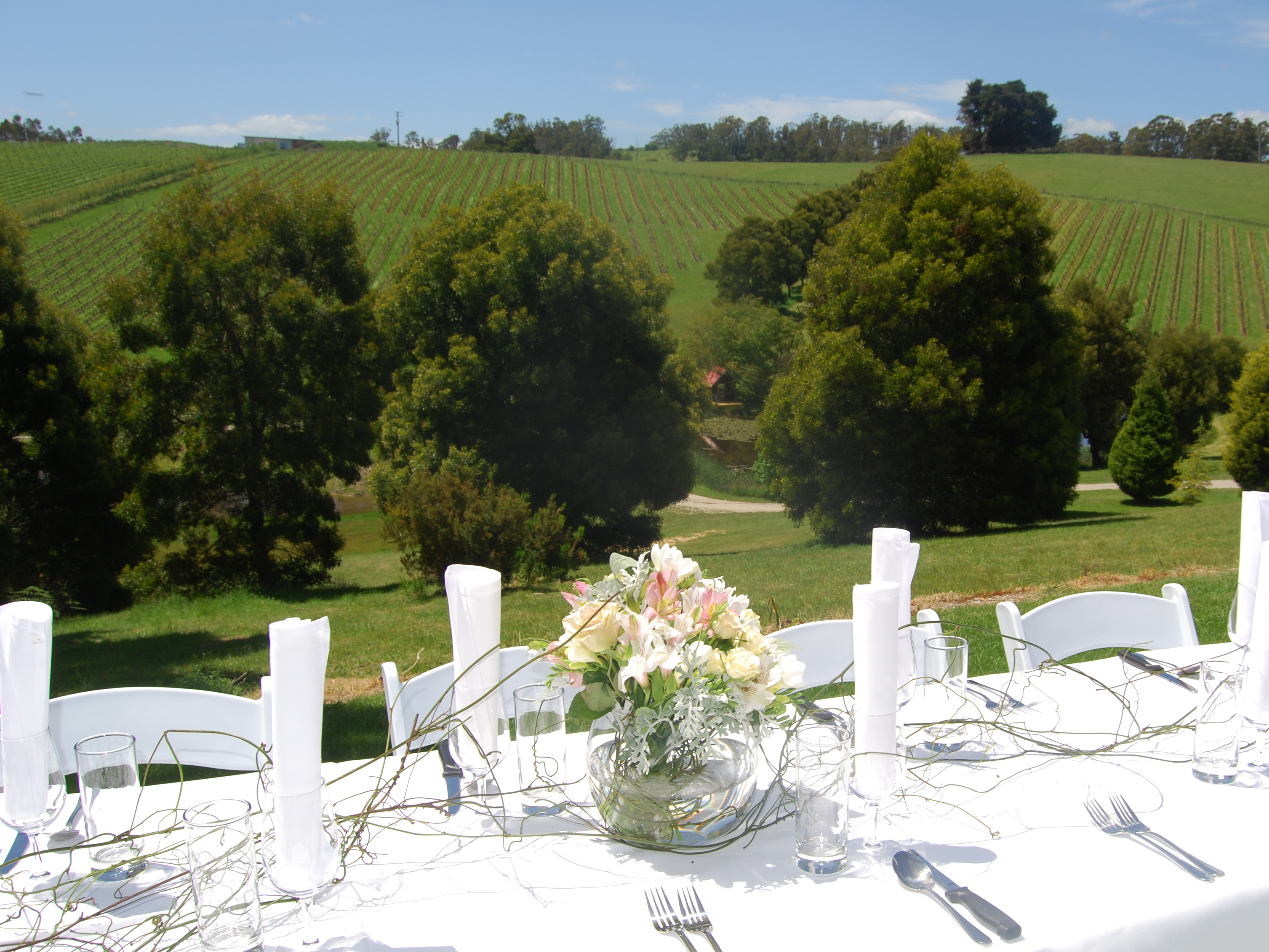 Leaning Church Vineyard