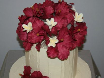 Cake Magic