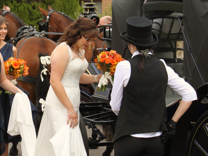 Classic Clydesdales and Carriages