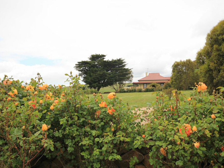 Harmony Row at Pastoria Valley Estate